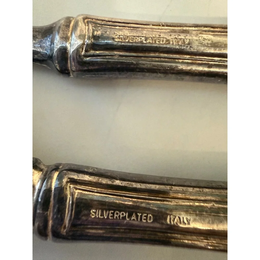 Princess House Silverplated Cake Server Knife Set Italy Floral Engraved Vintage
